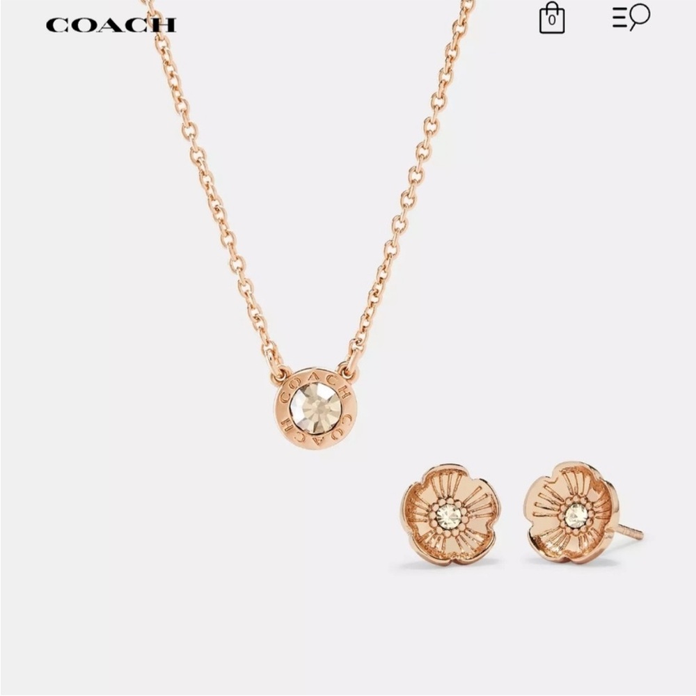 Coach Rose Gold Necklace and Earring Set
